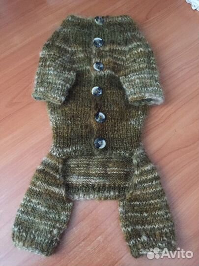 Одежда для собак