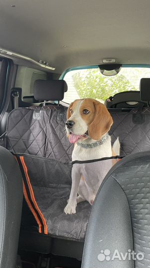 Автогамак для перевозки собак