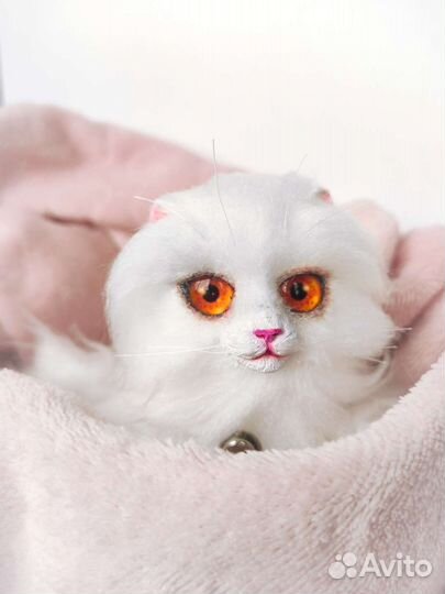 Котëнок 