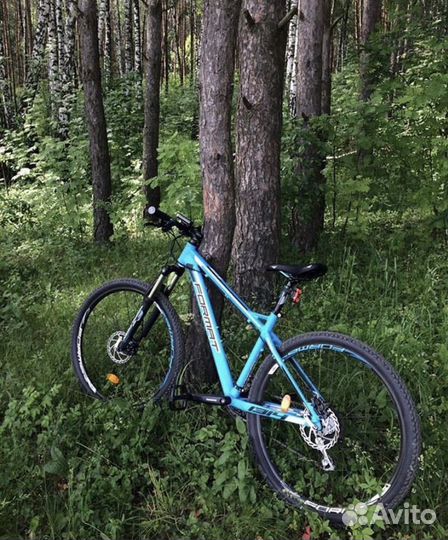 Велосипед Format 1314 (2016)