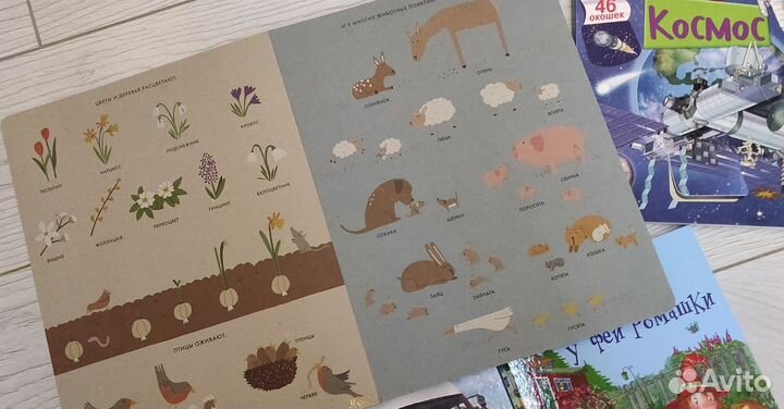 Пакетом детские познавательные книги