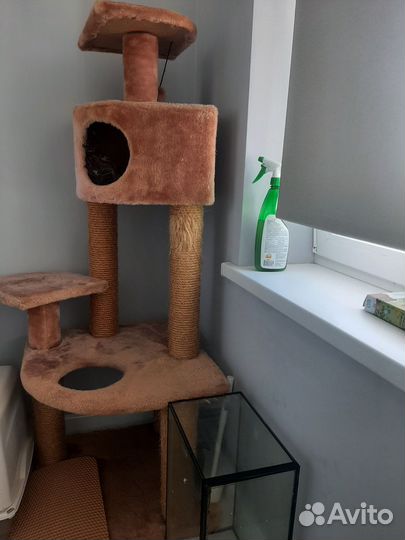 Домик для кошки с когтеточкой бу