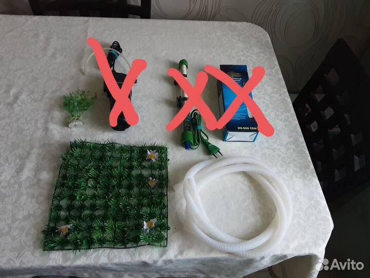 Продаю в аквариум