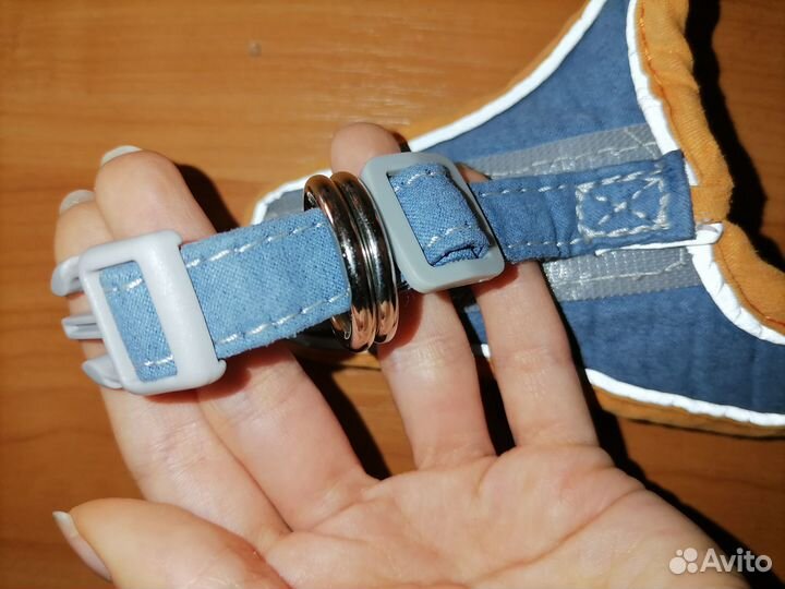 Шлейка для маленькой собаки