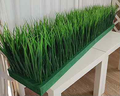 Трава Осока зелень в ящиках/в кашпо высотой 50 см
