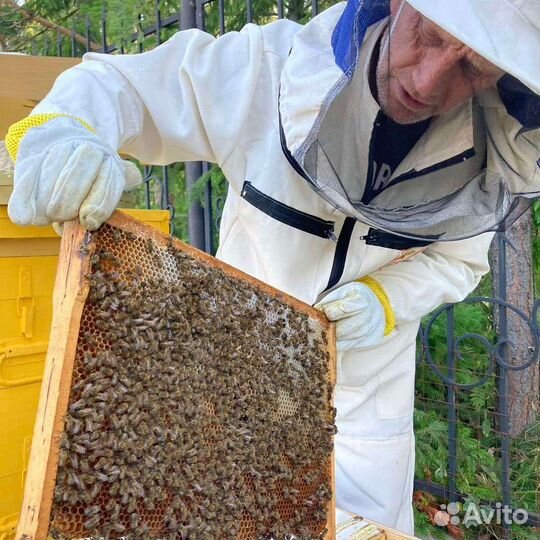 Правильный мед пчелиный