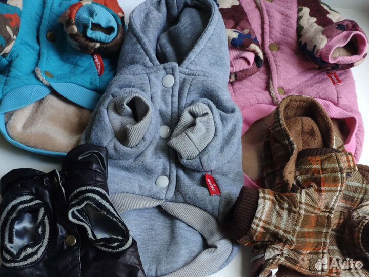 Одежда для собак мелких пород пакетом