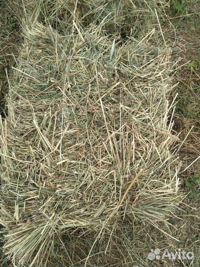 Сено в мешках,опилки,навоз,перегной