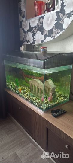 Аквариум на 200 литров