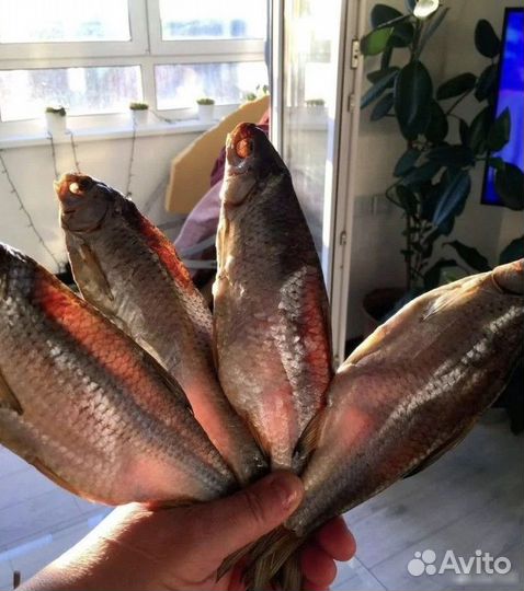 Вяленая вобла астраханская