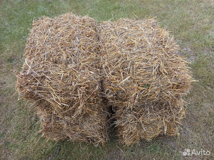 Солома в тюках
