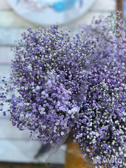 Букет Гипсофила Белая Цветная