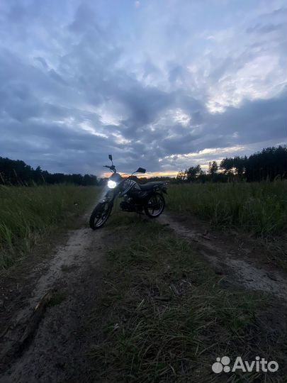 Альфа рс 12 millennium 49куб(125)