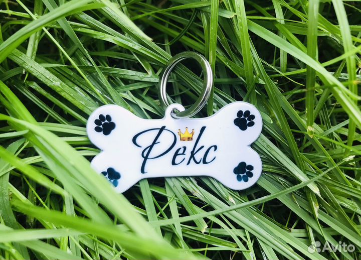 Адресник для собаки, кошки, питомца