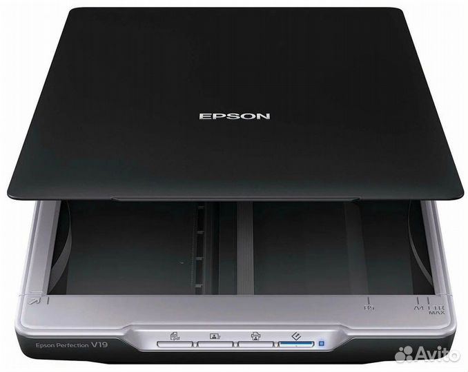 Epson Perfection V19