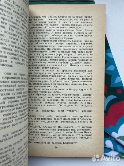 Пусть будет земля / Вера Лукницкая