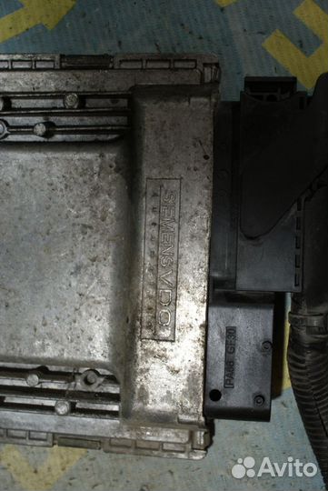 Мозг Ford Focus 2