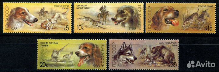 Отечественные породы охотничьих собак. 1988 год