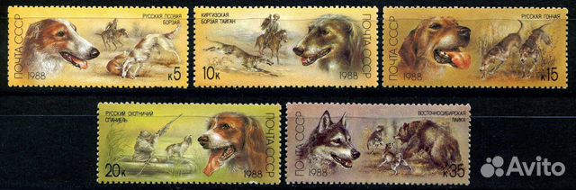 Отечественные породы охотничьих собак. 1988 год