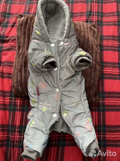 Комбинезон для собаки