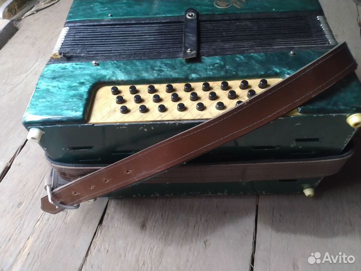 Гармонь кубань