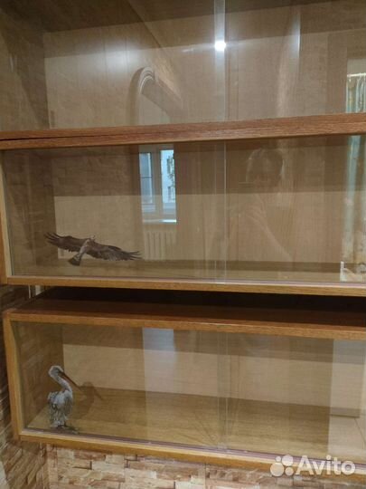 Полка книжная