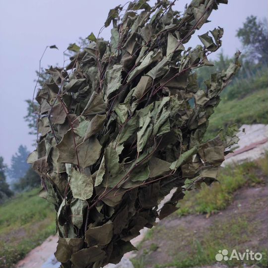 Банные веники дуб береза