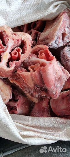 Корма для всех животных обрезь кости для собак