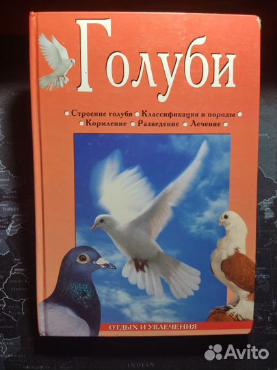 Линиза Жалпанова 