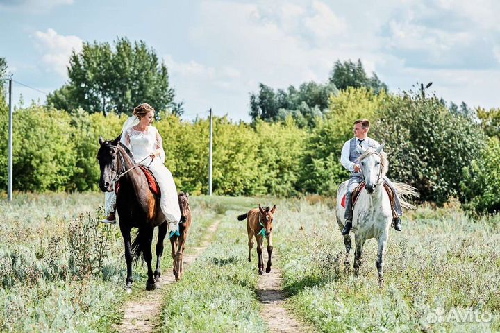 Поющий ведущий, тамада на свадьбу, юбилей,корпорат