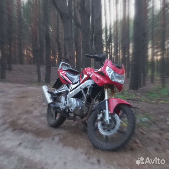 Патрон спорт 150
