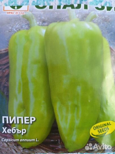 Рассада помидоров, баклажанов и сладкого перца