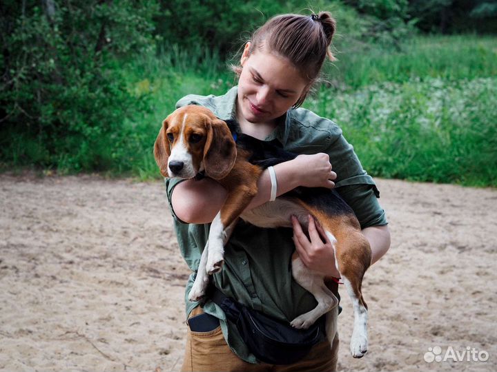 Кинолог с выездом