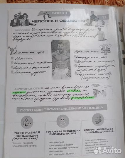 Папка с конспектами по обществознанию для егэ