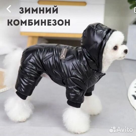 Комбинезон для маленькой собаки мальчик