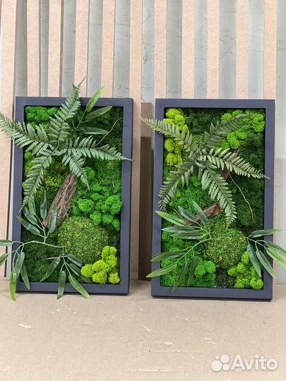 Панно, картина из мха, подарок, озеленение