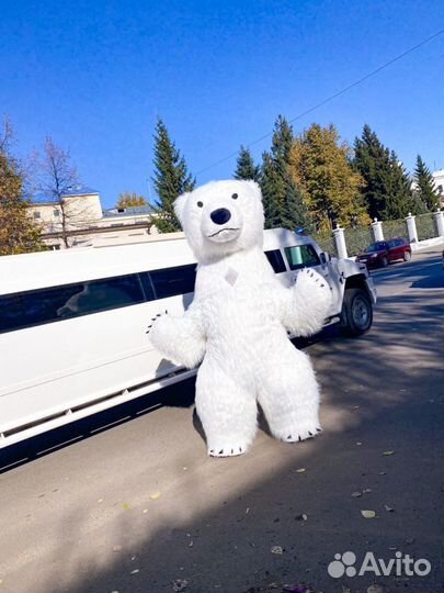 Большой белый мишка. Поздравление