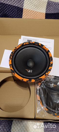 DL audio gryphon PRO 200 midbass