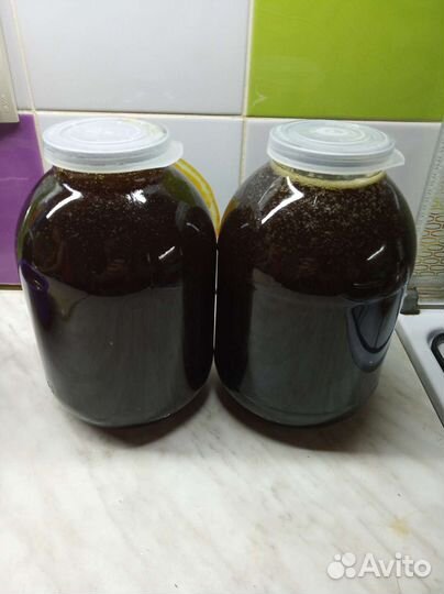 Предзаказ на алтайский мёд, беспл. доставка от 1 л