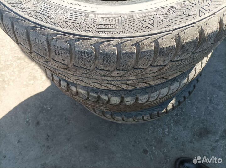 Gislaved Euro Frost 5 195/65 R15