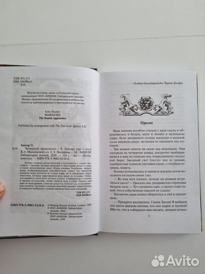 Коты воители. Четвёртый оруженосец. Восход солнца