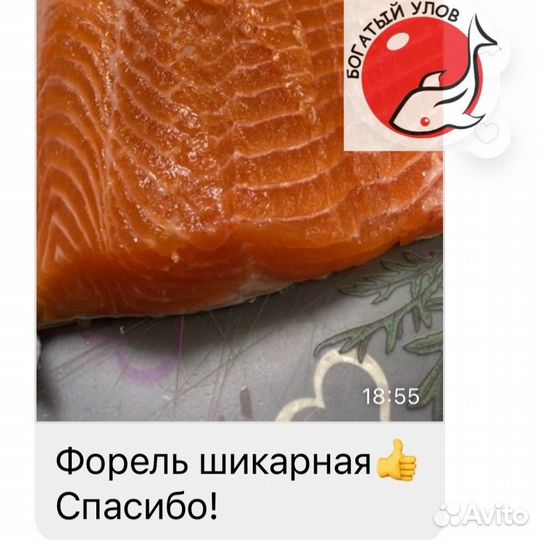 Форель охлажденная