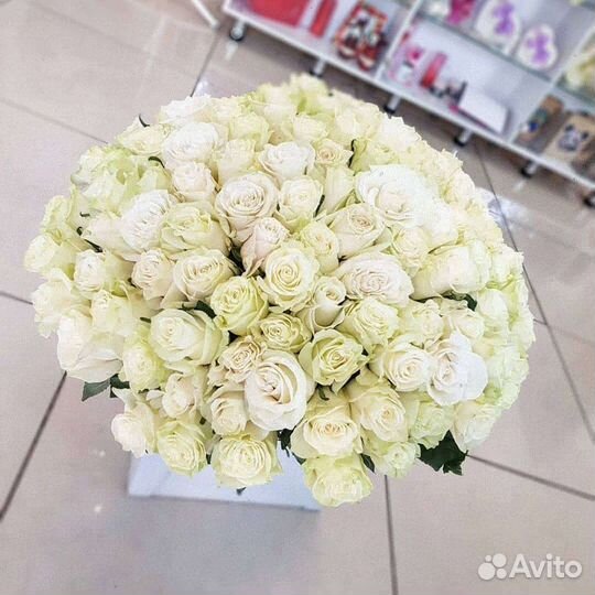 Белые розы Эквадорские высокие 60 см