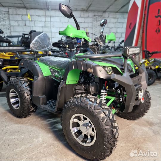 Квадроцикл Grizzly 200 Max Зелёный