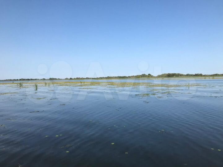 Участок 12 сот. (СНТ, ДНП)