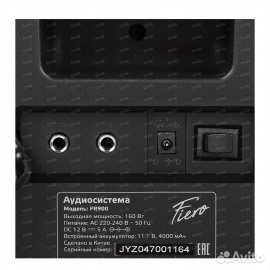 Портативная аудиосистема Fiero Emotion 150 FR900