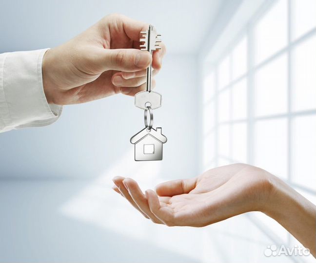 Доверительное управление недвижимостью