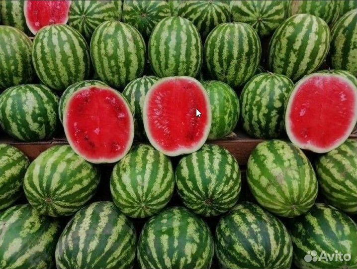 Арбузы