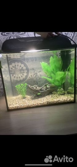 Аквариум