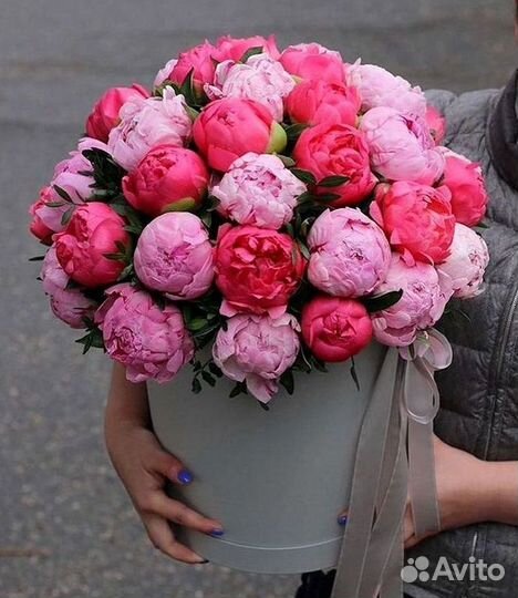 Пионы Букет